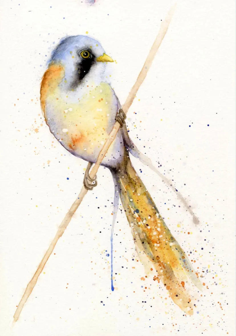 Amy Primarolo Art “Bearded Tit” greetings card (Amy)