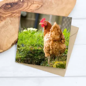 Chicken Greeting Card