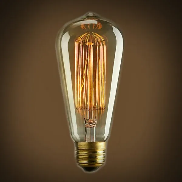 Edison Bulb - 60 Watt - 5.5 In. Length - Squirrel Cage Filament - Clear