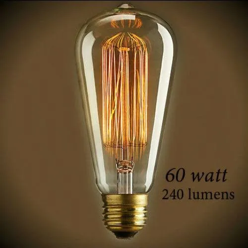 Edison Bulb - 60 Watt - 5.5 In. Length - Squirrel Cage Filament - Clear