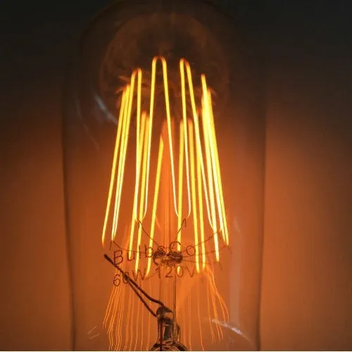 Edison Bulb - 60 Watt - 5.5 In. Length - Squirrel Cage Filament - Clear