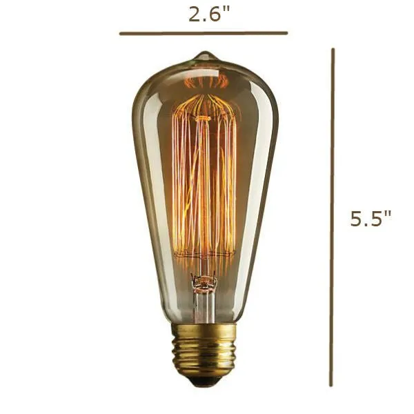 Edison Bulb - 60 Watt - 5.5 In. Length - Squirrel Cage Filament - Clear