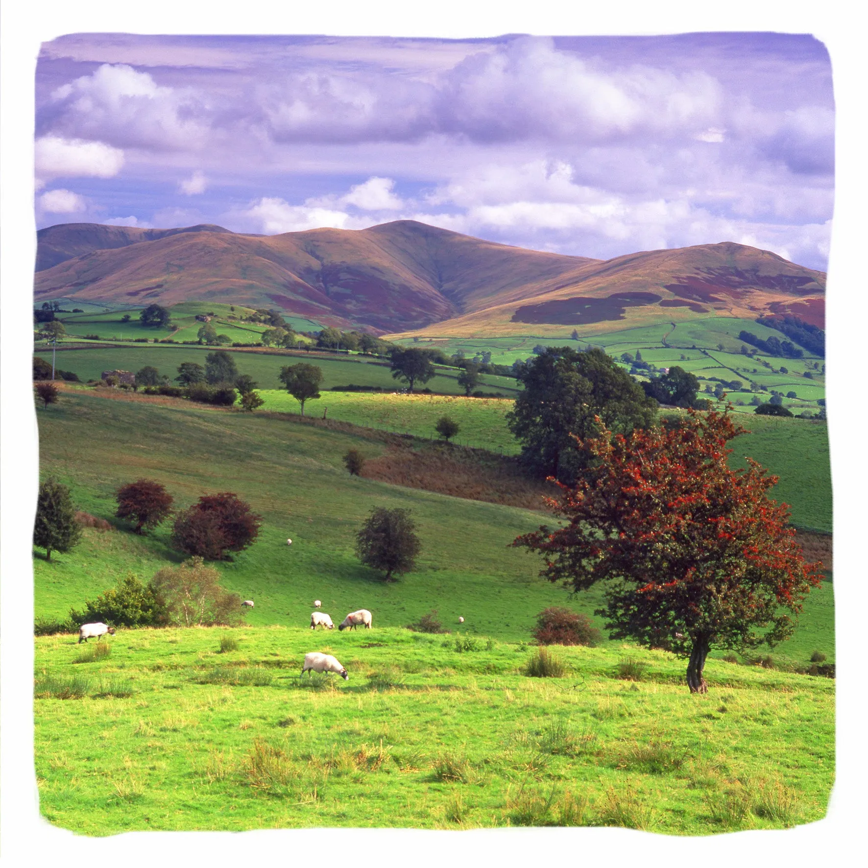 Howgill Fells from Sedbergh Greetings Card