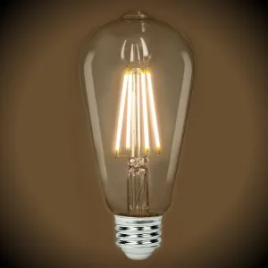 LED Filament Edison Light Bulb - ST19 Vintage - 7 Watt - Clear - 2700K