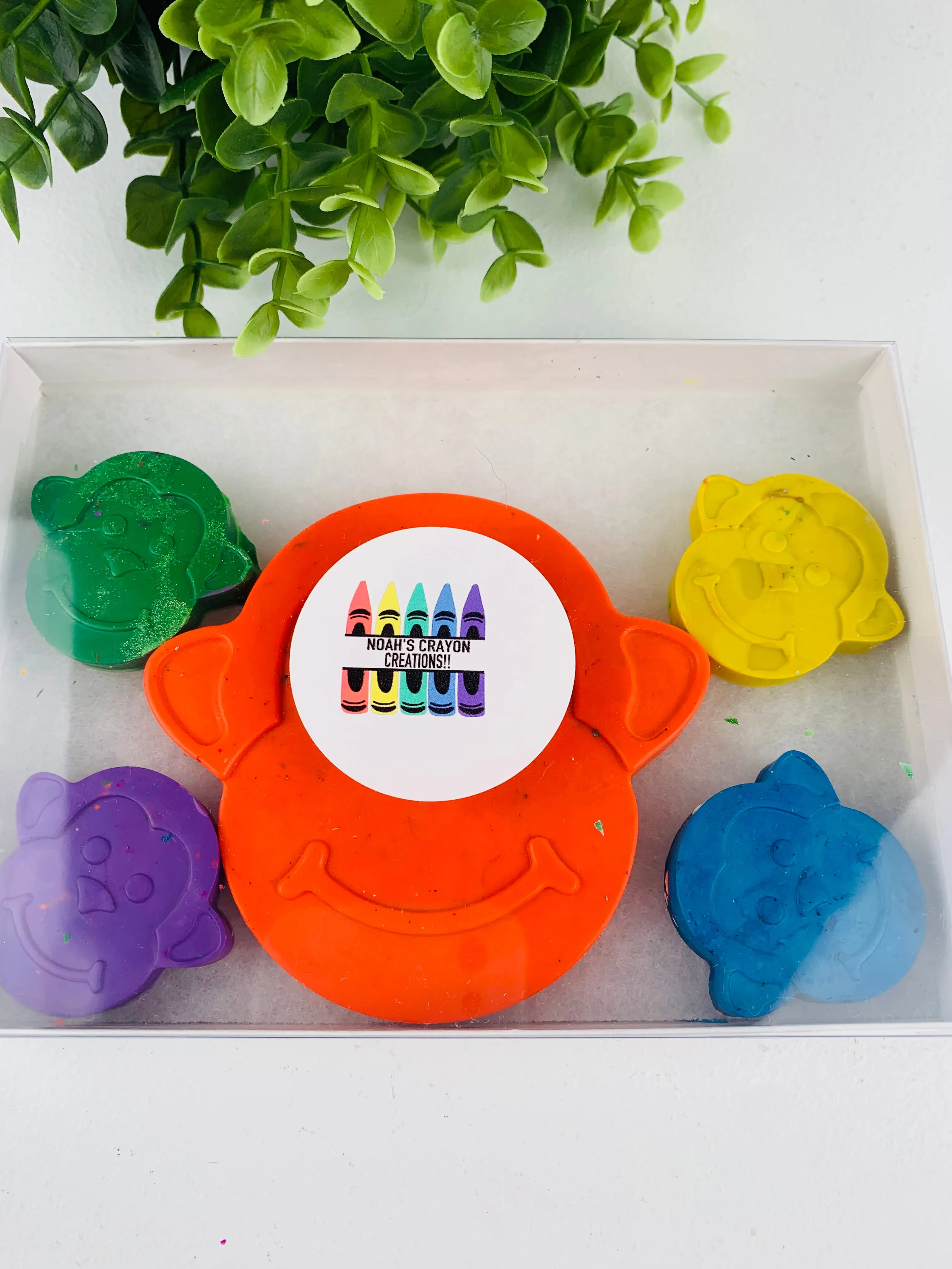 Noah's Creations, Shaped Crayon Box Sets