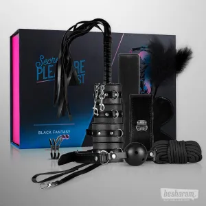 Secret Pleasure Chest Black Fantasy BDSM Set