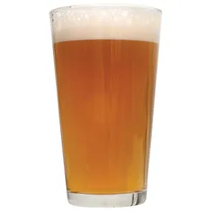 Tangerine Ravine Pale Ale Extract Beer Recipe Kit