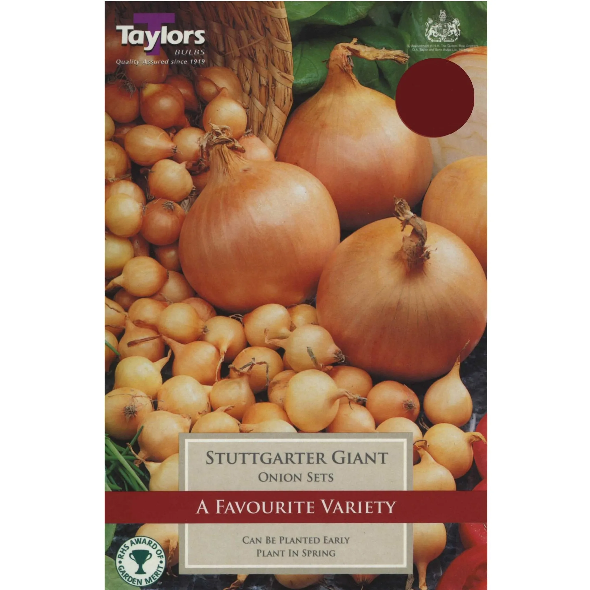 Taylors 50 Onion Stuttgarter Giant Sets