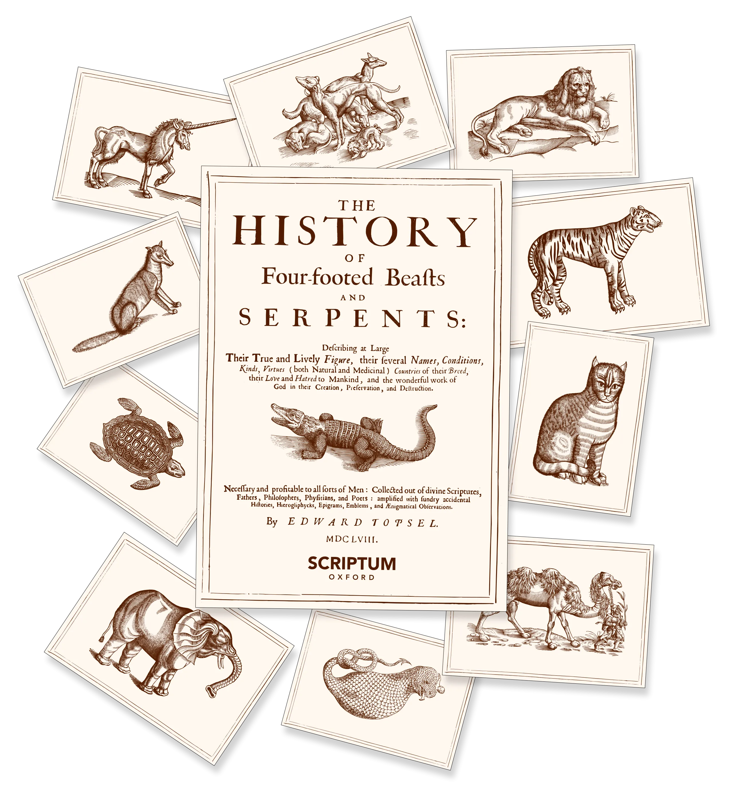 The History of Four-footed Beaſts and Serpents Card Set